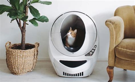 Read on to learn more. . Litter robot stuck mid cycle